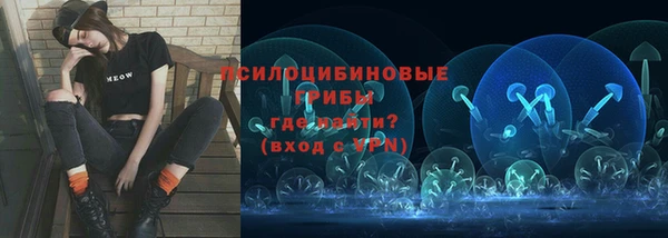 ECSTASY Краснослободск