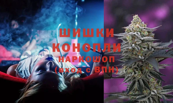 ECSTASY Краснослободск