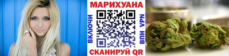 Бошки Шишки гибрид  Павловская 